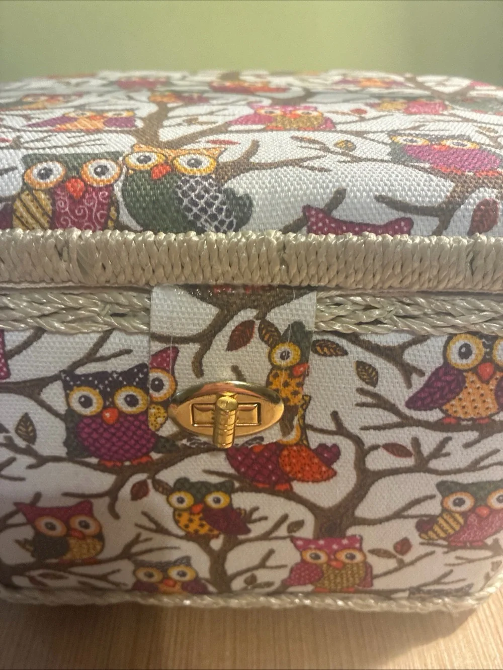 Owl Print Seeing  Box in Cream and Multicolor